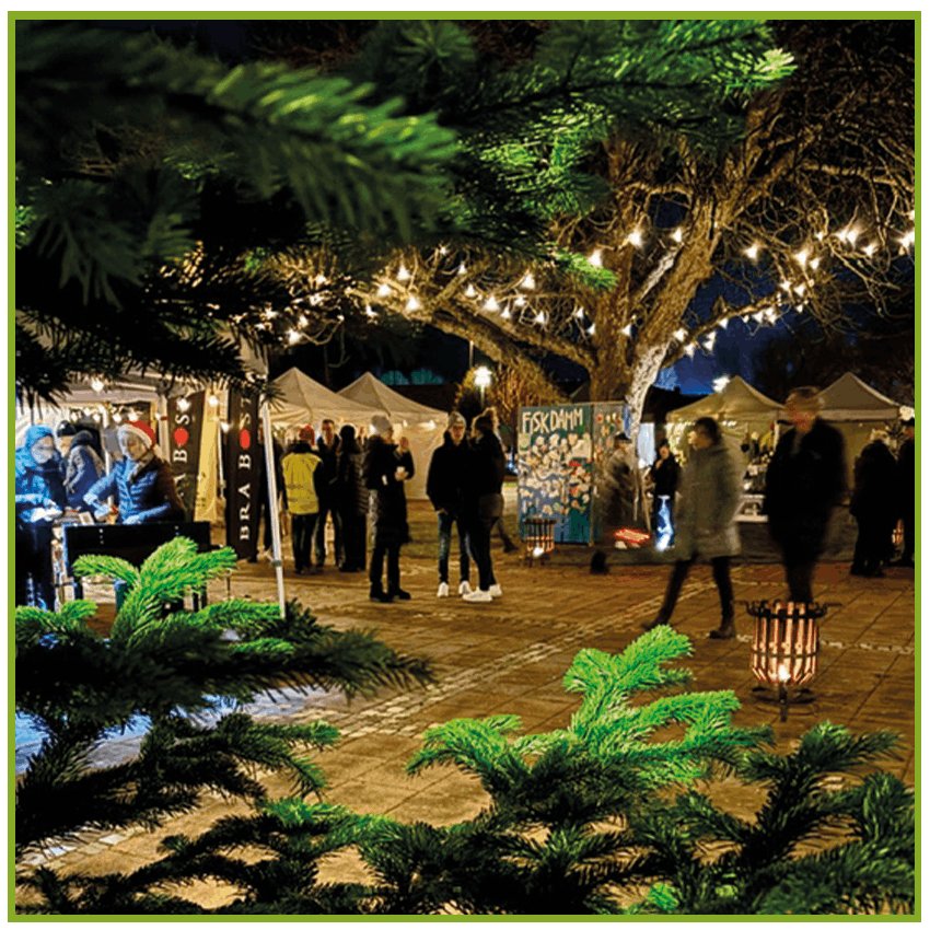 Julmarknad i Knäred