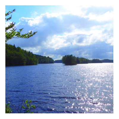 Fiske i Lagan och Hjörnered